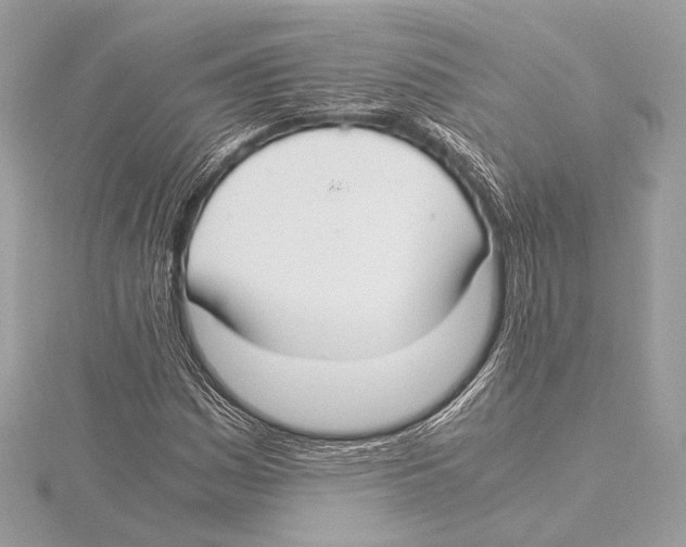 X0000115351161200912011046