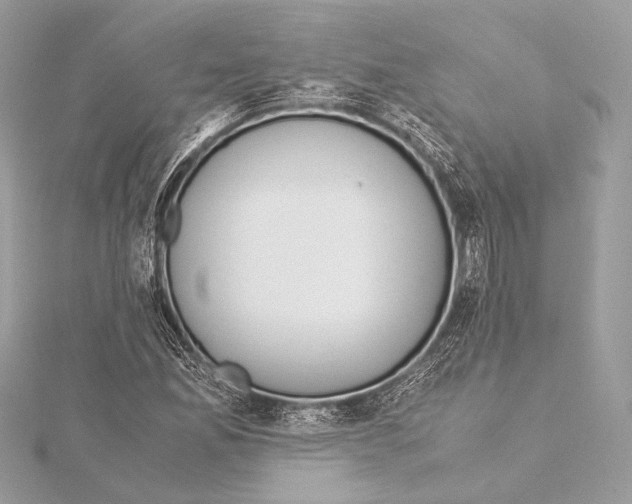 X0000115351165200912011046