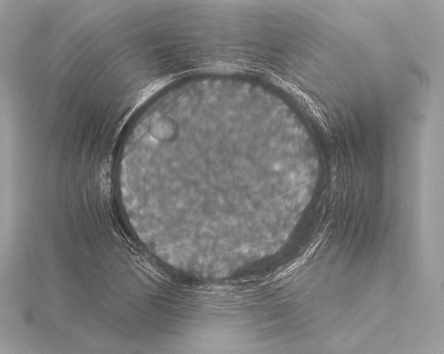 X0000115351170200912011046