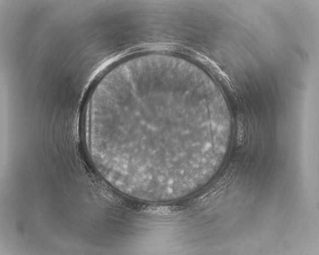 X0000115351174200912011045