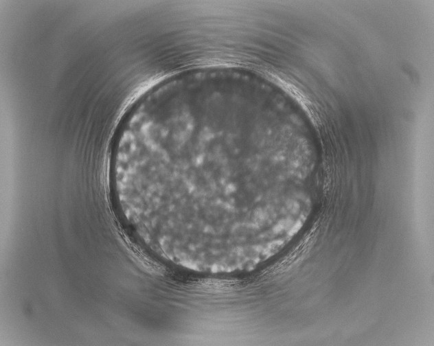 X0000115351179200912011045