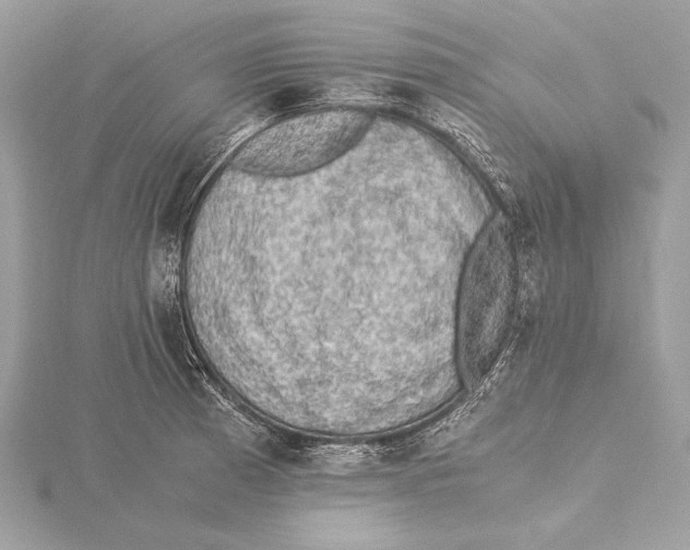 X0000115351185200912011045