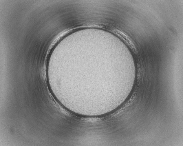 X0000115351188200912011045