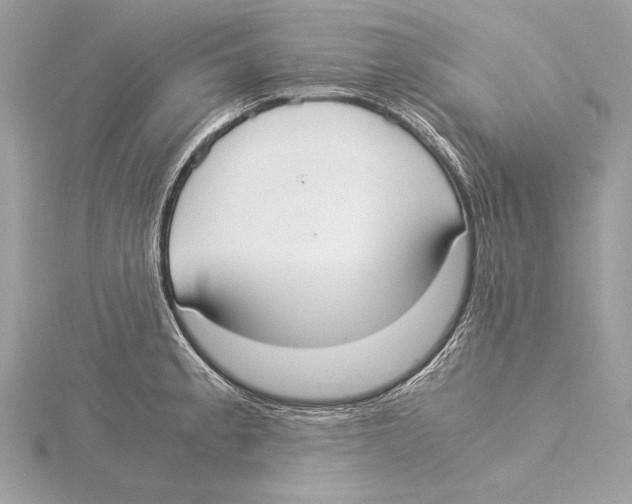 X0000115351189200912011045