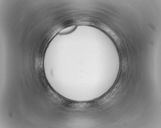 X0000115351193200912011045