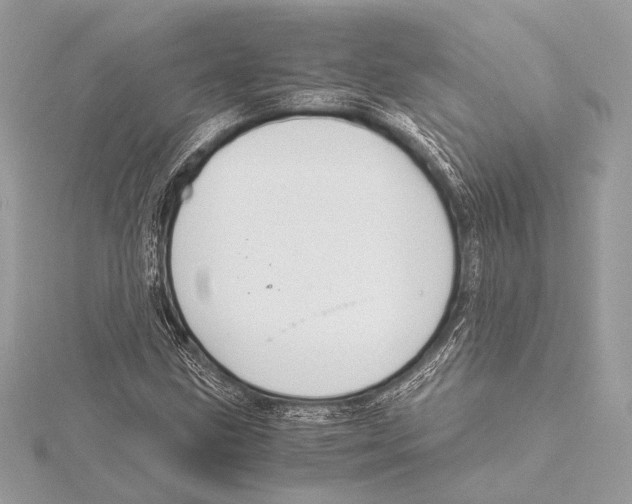 X0000115351211200912011045