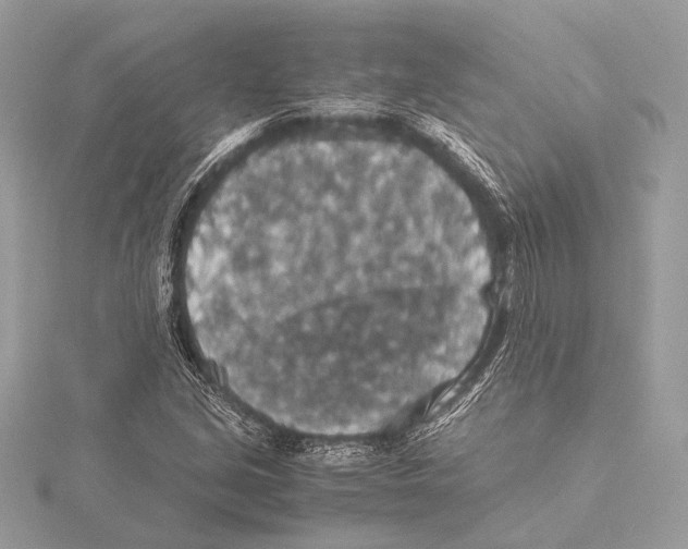 X0000115351213200912011045