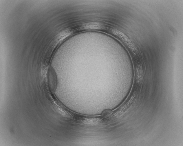 X0000115351225200912011045