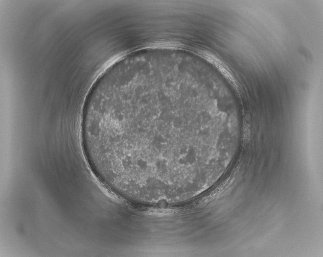 X0000115351237200912011045