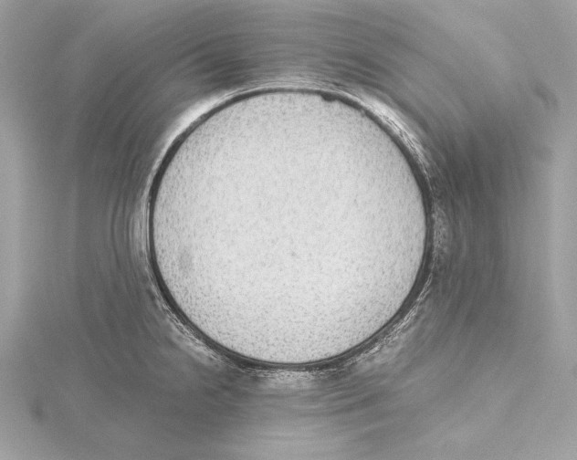 X0000115351238200912011045