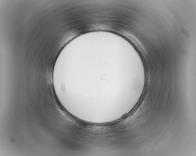 X0000115351241200912011045