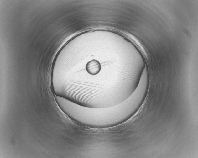 X0000115351244200912011045