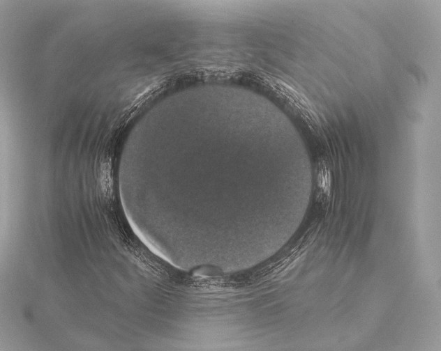 X0000115351252200912011044