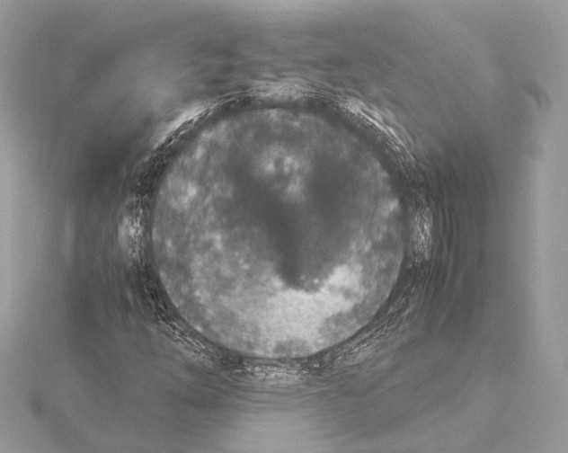 X0000115351254200912011044