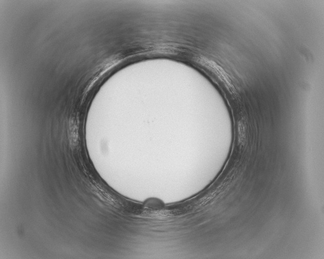 X0000115351260200912011044