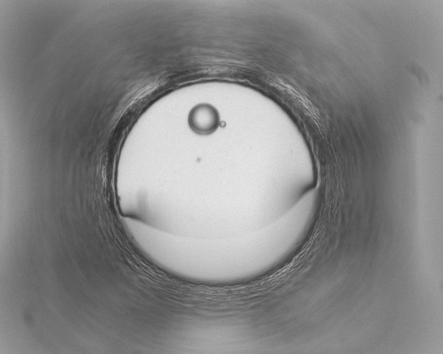 X0000115351261200912011044