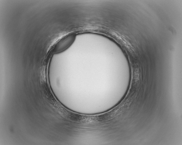 X0000115351262200912011044