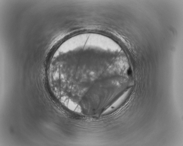 X0000115351263200912011044