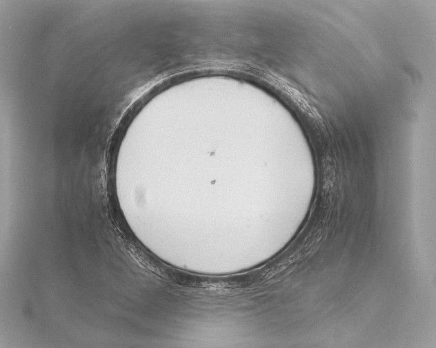 X0000115351264200912011044