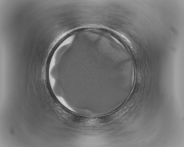 X0000115351279200912011044