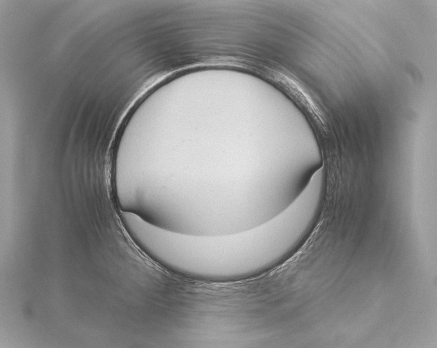 X0000115351284200912011044