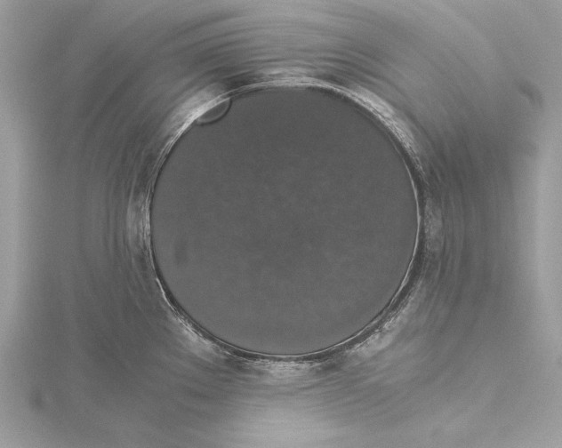 X0000115351289200912011044