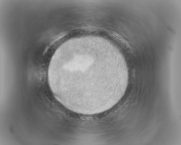 X0000115351302200912011043