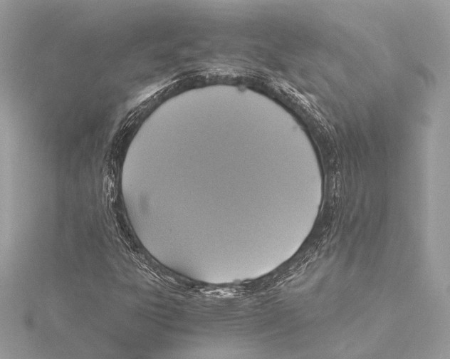 X0000115351303200912011043