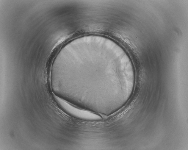X0000115351306200912011043