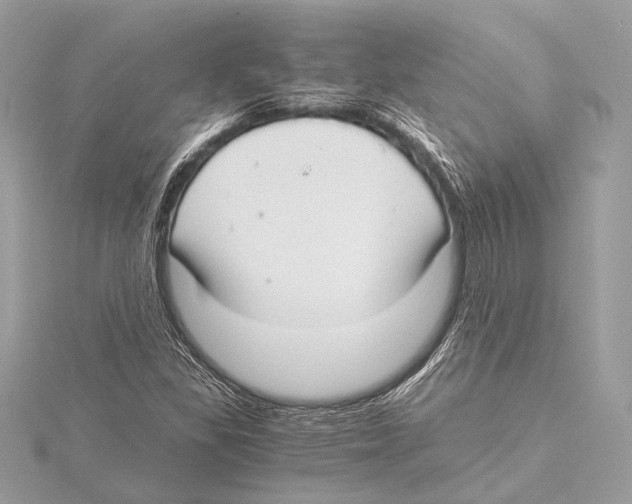 X0000115351309200912011043