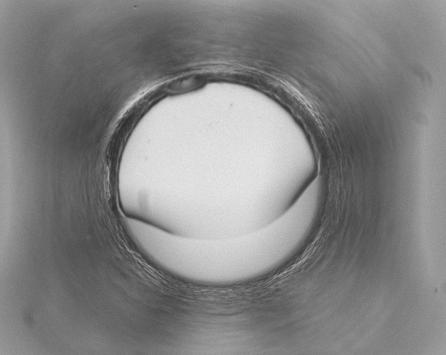 X0000115351310200912011043