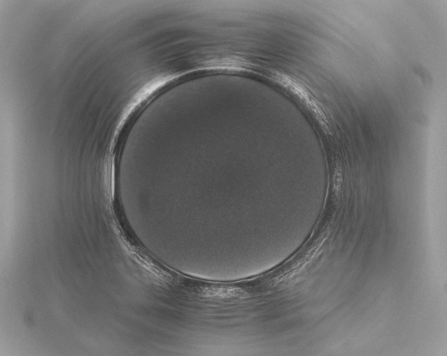 X0000115351323200912011043
