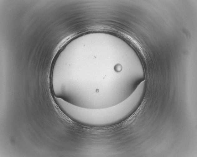 X0000115351330200912011043