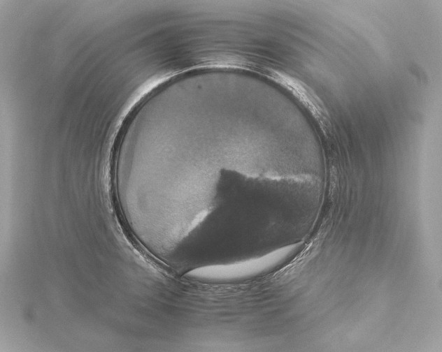 X0000115351331200912011043
