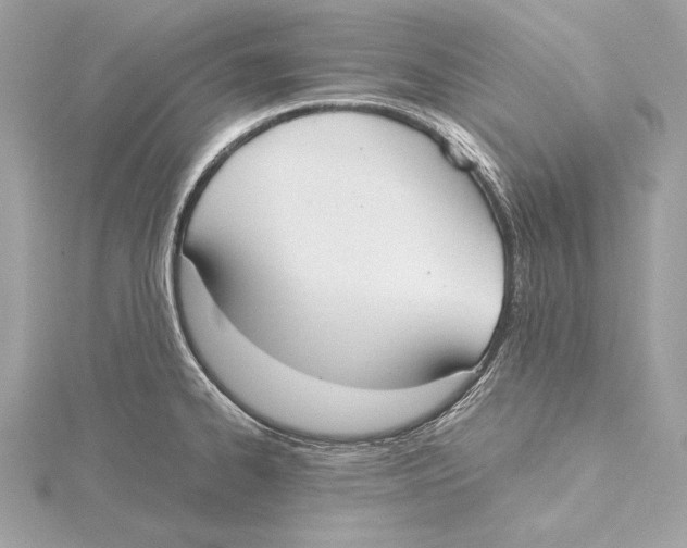 X0000115351334200912011043