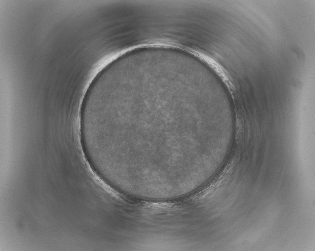 X0000115351335200912011043