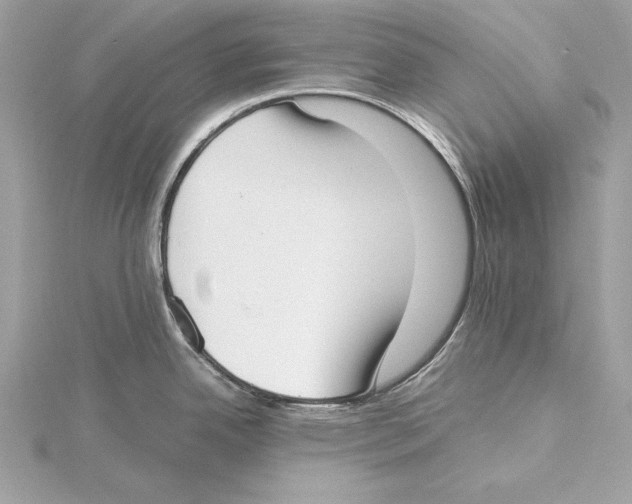 X0000115351342200912011044