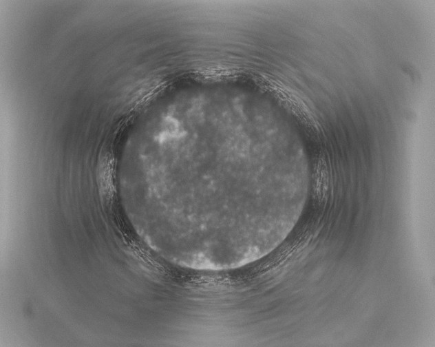 X0000115351346200912011043