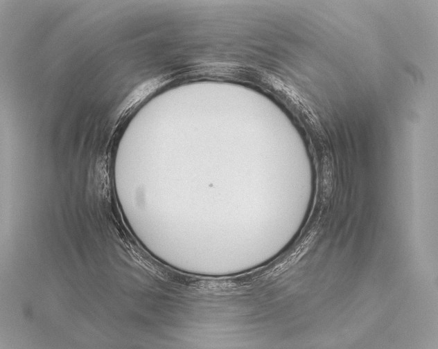 X0000115351354200912011043