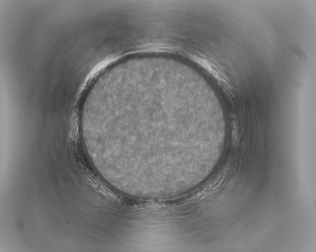 X0000115351358200912011043