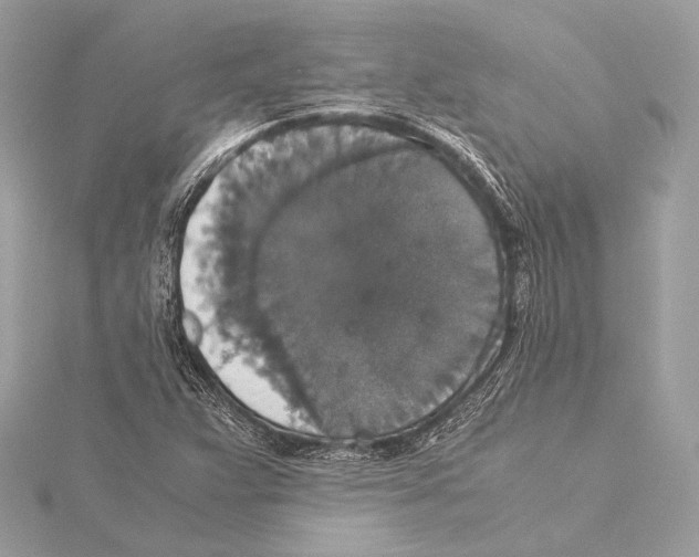 X0000115351359200912011043