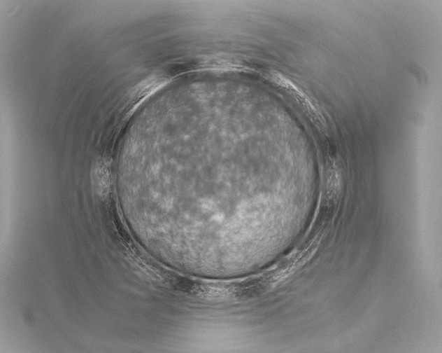 X0000115351361200912011043