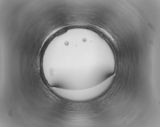 X0000115351364200912011043
