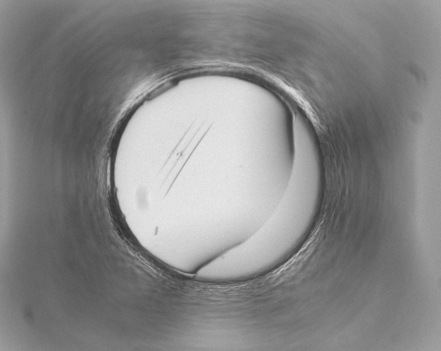 X0000115351365200912011043