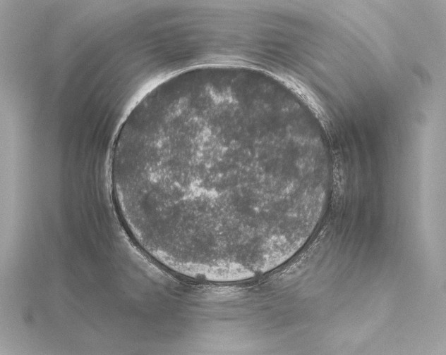X0000115351382200912011042