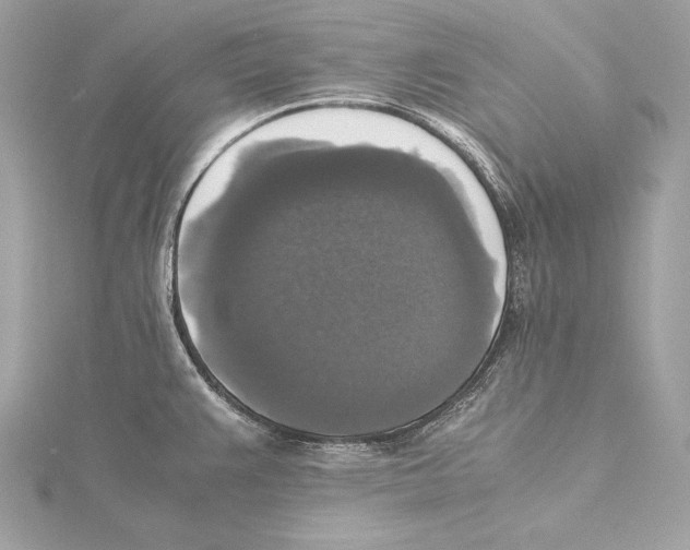 X0000115351383200912011042