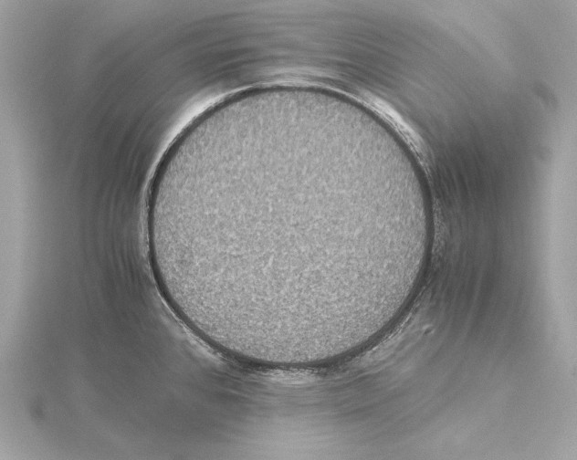 X0000115351384200912011042