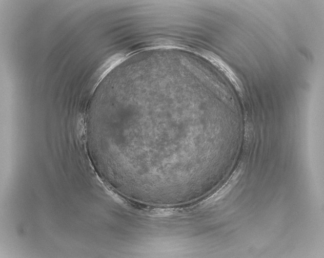 X0000115351385200912011042
