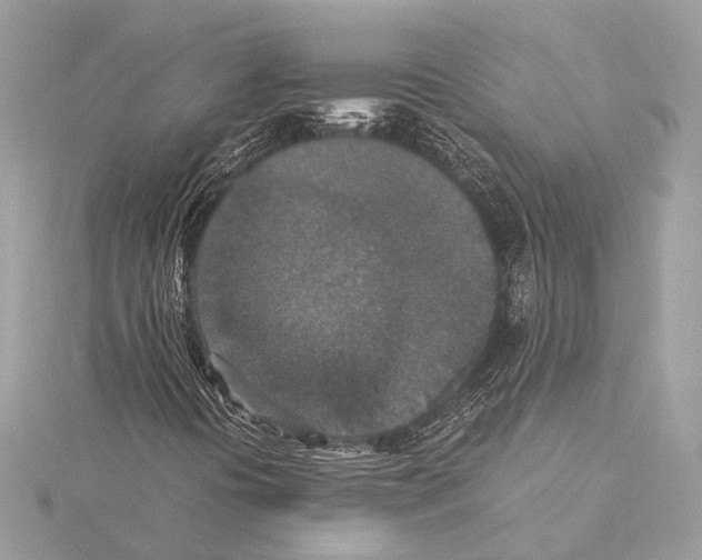 X0000115351394200912011042