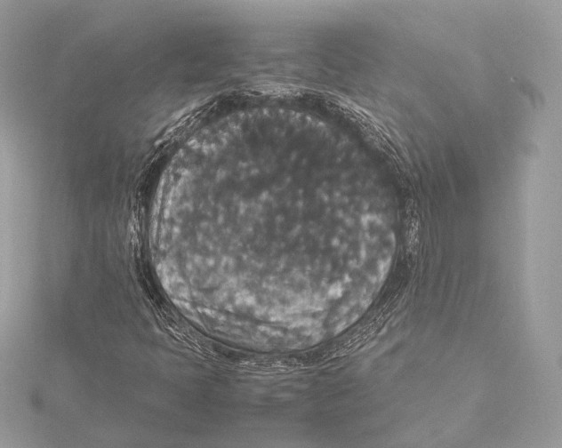 X0000115351397200912011042